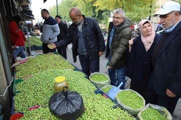 Gaziantep’te yeşil zeytin tezgaha indi
