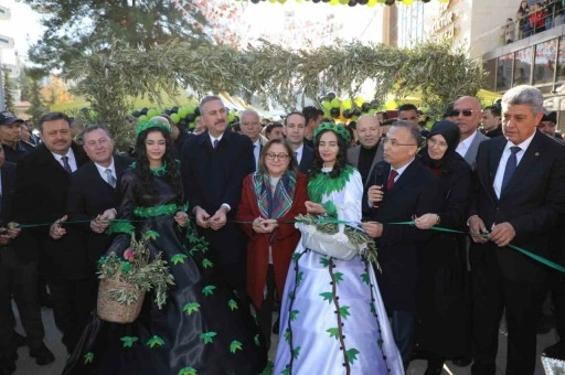 Gaziantep Zeytin Festivali başladı