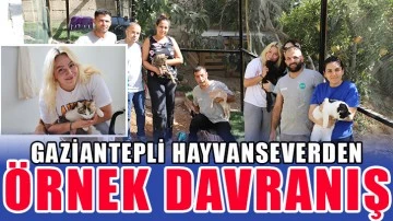 Gaziantepli hayvanseverden örnek davranış