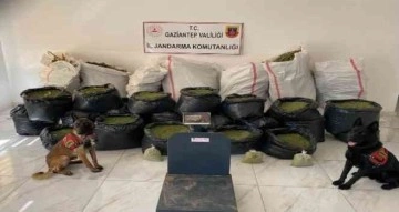 Gaziantep’te 235 kilo kubar esrar ele geçirildi