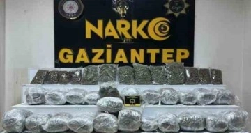 Gaziantep’te 28 kilo 400 gram skunk ele geçirildi