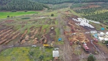 Gaziantep'te depremzedelere yakacak odun dağıtıldı