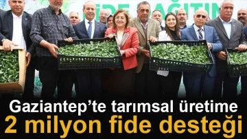 Gaziantep’te tarımsal üretime 2 milyon fide desteği