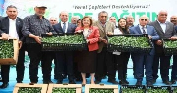 Gaziantep'te tarımsal üretime 2 milyon fide desteği