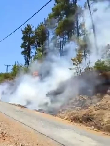 Gazipaşa’da ormanlık alanda çıkan yangın büyümeden söndürüldü
