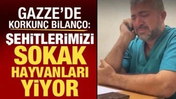 Gazze Sağlık Bakanlığı Genel Müdürü: Şehitlerimizi sokak hayvanları yiyor