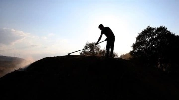 Geçimlerini evlerinden kilometrelerce uzakta mangal kömürü üreterek sağlıyorlar