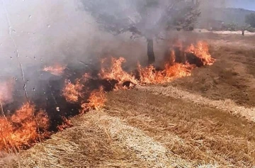 Gediz’de tarla yangını
