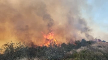 Gelibolu’daki yangına 3 helikopter ve 2 uçakla müdahale ediliyor
