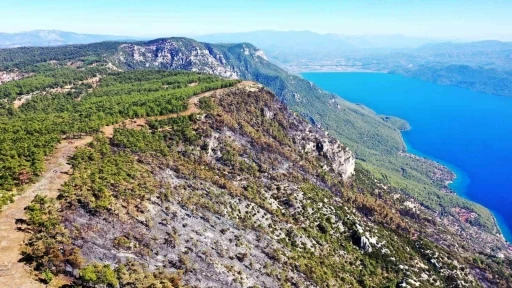 Gökova’da alevlerin önünü kesmek için 6,5 kilometre yangın şeridi açıldı
