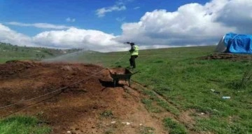 Gölbaşı Belediyesi larva ile mücadele ediyor