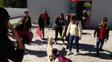 Gönüllü veterinerler, öğrencilere hayvan sevgisini aşıladılar
