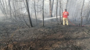 Göynük’teki orman yangının sebebi belli oldu
