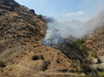 Gümüşhane’de örtü yangını: 2 hektarlık alan küle döndü
