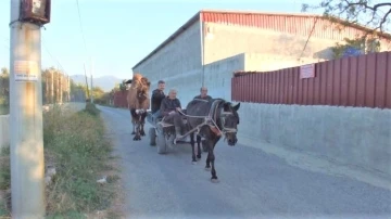 Güreş develeri antrenmana başladı
