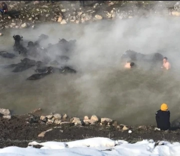 Güroymak’ta çekilen “Madak” belgeseline büyük ilgi
