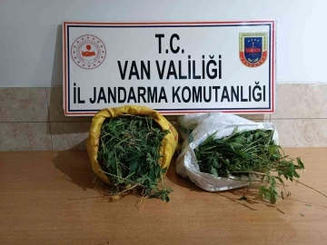 Gürpınar’da 17 kilo 400 gram kubar esrar ele geçirildi
