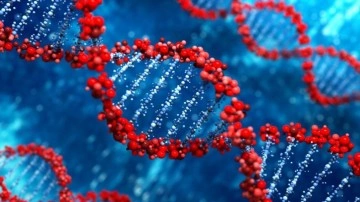 'Güvenli' denilen maddenin DNA’ya zarar verdiği ortaya çıktı! Her yerde kullanılıyor