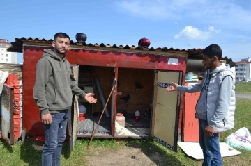 Güvercin sahibinden hırsızlara tepki: “Azıcık vicdanın varsa o güvercinleri getirip bırak”
