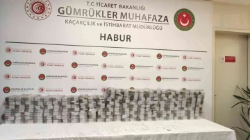 Habur Sınır Kapısı’nda kaçak sigara operasyonları
