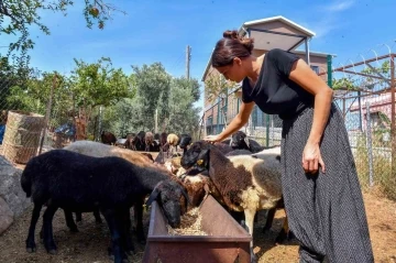 ‘Hadi gel köyümüze destek verelim’ projesi büyümeye devam ediyor
