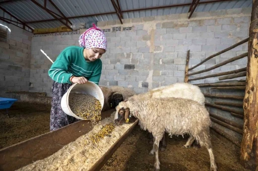 ’Hadi Gel Köyümüze Geri Dönelim’ projesi bir genci deha üretime kazandırdı
