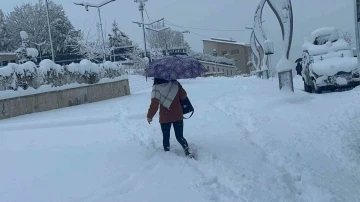 Hakkari’de 365 yerleşim yerinin yolu ulaşıma kapandı
