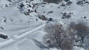 Hakkari’de 7 yerleşim yeri yolunun açılması için çalışmalar sürüyor
