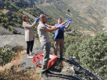 Hakkari’de bin 300 keklik doğaya bırakıldı
