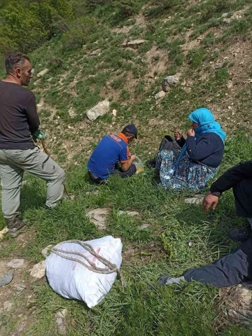 Hakkari’de pancar toplarken ayağı kırılan kadın kurtarıldı
