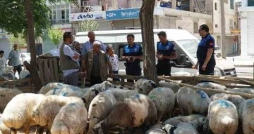 Haliliye Belediyesi kurban bayramında 635 personeliyle sahada