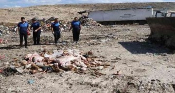 Haliliye’ de bozuk 3 ton et imha edildi