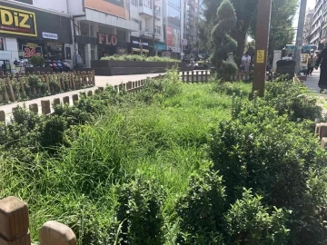 Hamamyolu’ndaki bu alanlar bakım bekliyor
