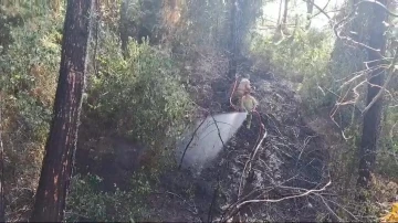 Hatay’da çıkan orman yangını kontrol altına alındı
