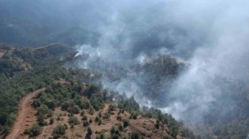 Hatay’da gece saatlerinde başlayan orman yangını kontrol altına alındı
