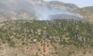 Hatay’da makilik alanda yangın çıktı
