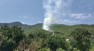 Hatay’da orman yangını
