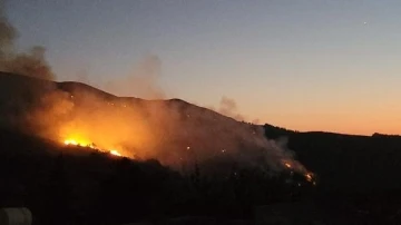 Hatay'da orman yangını (7)