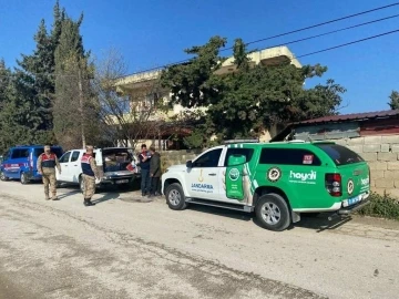 Hatay’da sokak köpeğine silahla ateş eden şüpheli yakalandı
