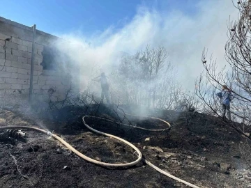 Hatay’da zeytinlik ve çalılık alanda çıkan yangın kontrol altına alındı
