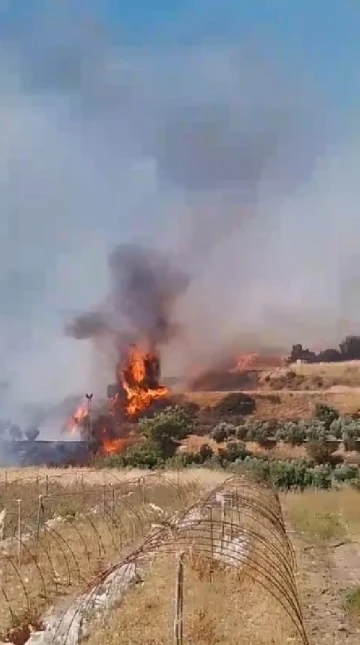 Hatay'da, zeytinlikte çıkan yangın ormana sıçradı