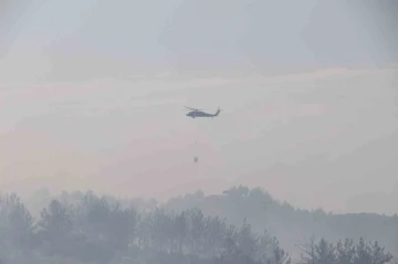 Hatay’daki orman yangını 4 saatlik müdahaleyle kontrol altına alındı
