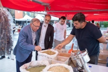 Hatay’dan Seyhan’a dayanışma günleri