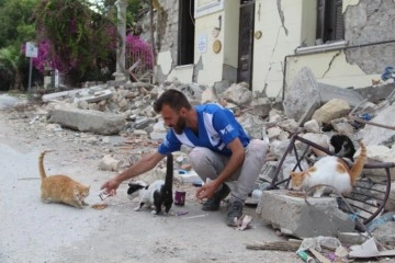 Hatay’da yaklaşık 10 bin depremzede ’can dost’ mama desteği bekliyor