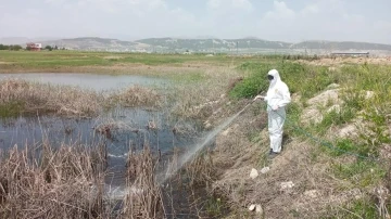 Havalar ısındı ilaçlama çalışmaları hız kazandı
