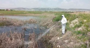 Havalar ısındı ilaçlama çalışmaları hız kazandı