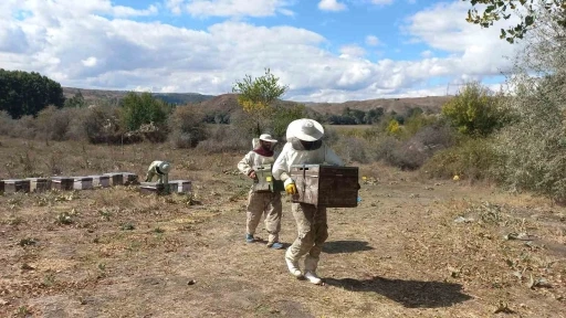 Havaların soğumasıyla arıcıların göç mesaisi başladı
