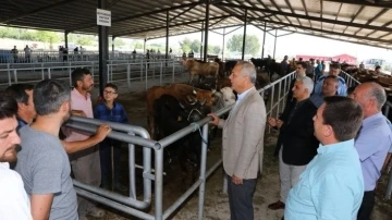 Hayvancılığın lokomotifi Suluova’ya 20 bin metrekarelik hayvan pazarı
