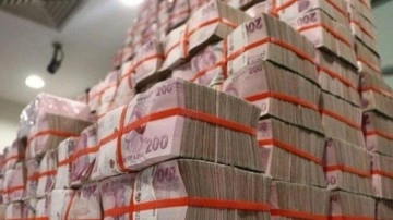 Hazine, 2 ihalede 43,8 milyar lira borçlandı