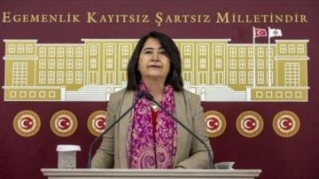 HDP'li Pekgözegü'den TBMM'de alçak tehdit! Sonunuz Saddam gibi olacak